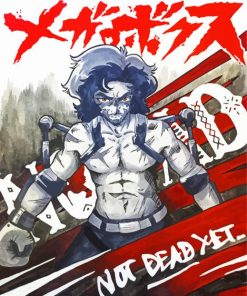 Megalobox Bow Nomad Poster paint by number