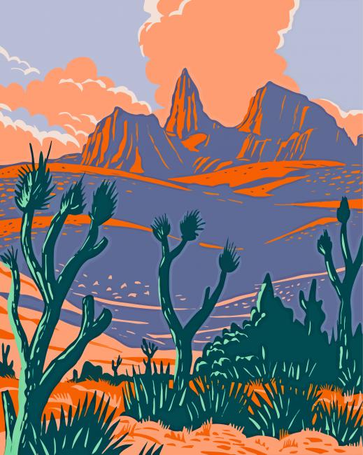 Mojave Desert Illustration paint by number