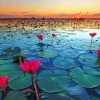 Nong Han Kumphawapi Lake And Flowers Paint by number