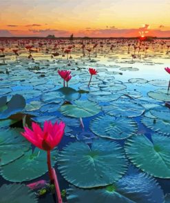 Nong Han Kumphawapi Lake And Flowers Paint by number
