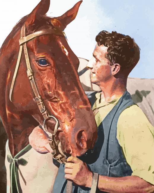 Phar Lap Race Horse paint by numbers