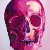 Pink Skull Art paint by number