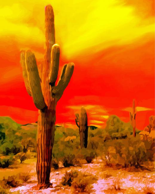 Sunset Saguaro National Park paint by number