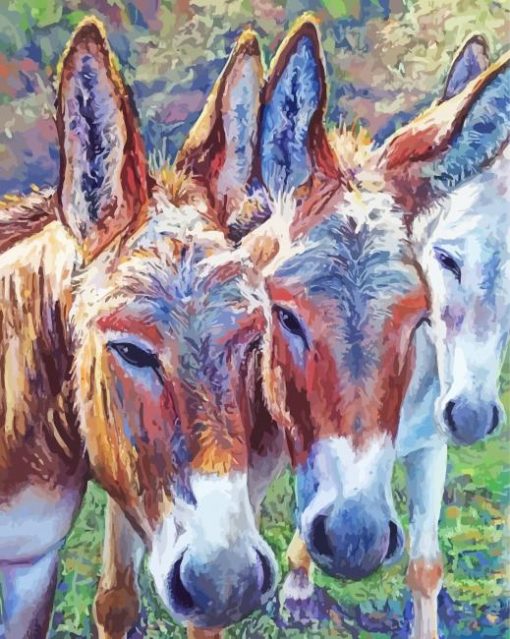 Trio Donkey Art paint by number