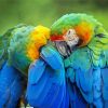 Two Parrots In Jungle Green With Blue paint by number