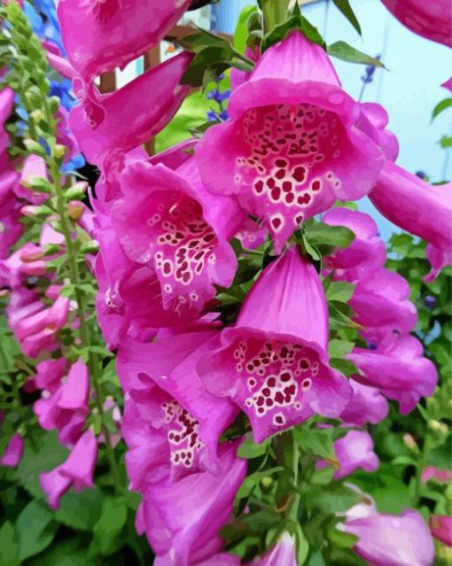 Aesthetic Foxglove paint by number