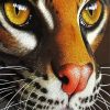 Aesthetic Ocelot Close Up paint by number