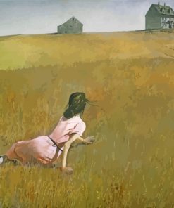 Andrew Wyeth Girl In Field paint by number