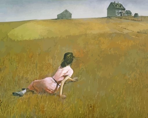 Andrew Wyeth Girl In Field paint by number