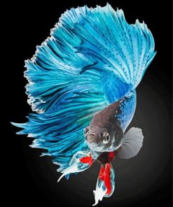 Blue Elegant Fish paint by number