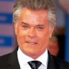 Classy Ray Liotta paint by number