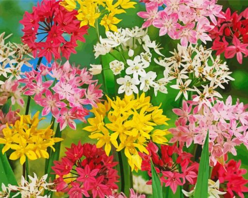 Colorful Allium Flowers paint by number