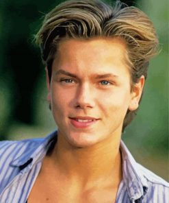 Handsome River Phoenix paint by number