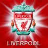 Liverpool Football Emblem FC Logo paint by number
