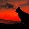 Lonely Cat Silhouette At Sunset paint by number