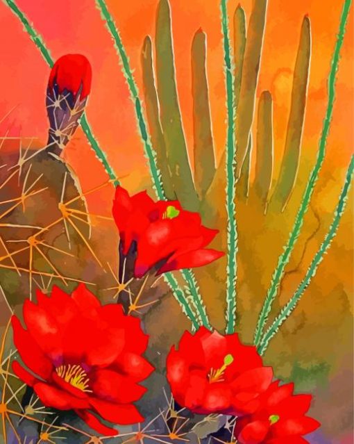 Red Desert Flowers paint by number