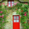 Red Flowering Door paint by number