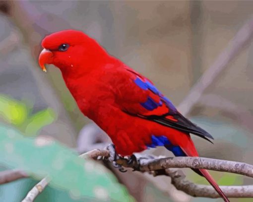 Red Lory Bird On Branch paint by number