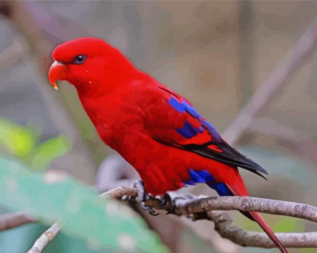 Red Lory Bird On Branch paint by number