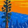 Sequoia National Park Poster Paint by number