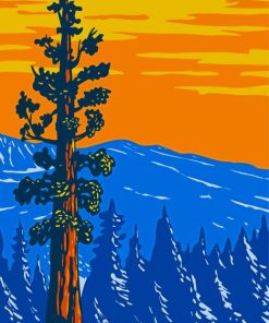 Sequoia National Park Poster Paint by number