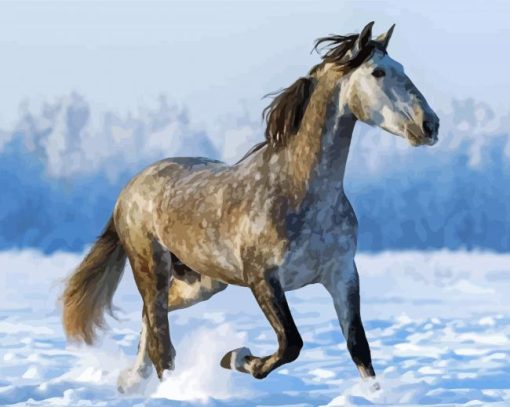Snow Dapple Horse paint by number