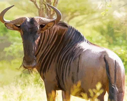 Wildebeest paint by number