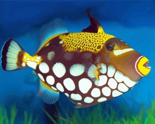 Yellow Clown Triggerfish paint by number