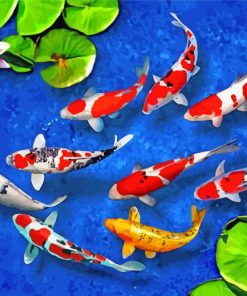 9 Koi Fish In Water paint by number