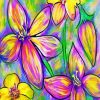 Abstract Colorful Flowers paint by number