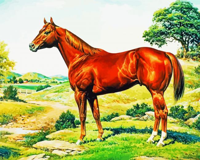 Adorable Quarter Horse Art paint by number