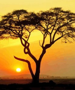African Tree Silhouette paint by number