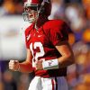 Alabama Football Player Paint by number