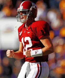 Alabama Football Player Paint by number