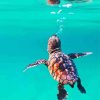 Baby Turtles Underwater paint by number