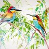 Bee Eater Birds paint by number