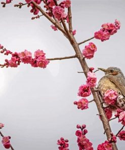 Birds And Blossom paint by number