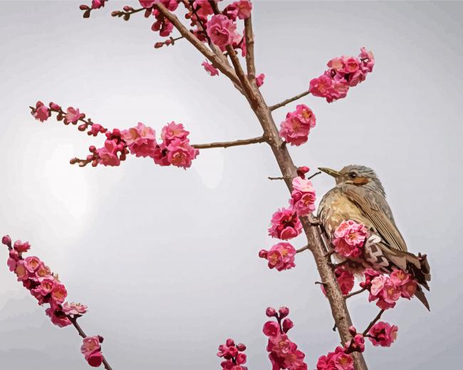 Birds And Blossom paint by number