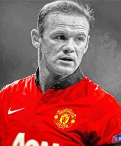 Black And White Wayne Rooney paint by number