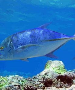 Blue Jack Trevally paint by number