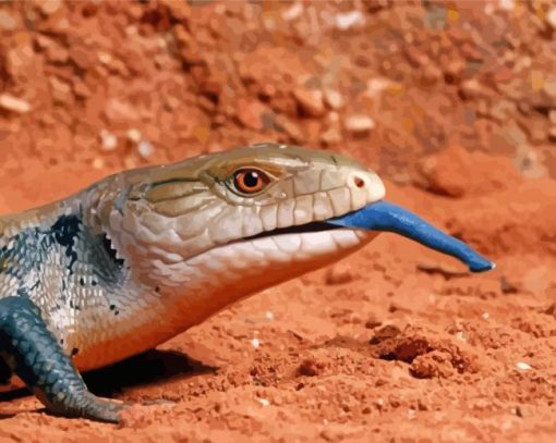 Blue Tongued lizard paint by number