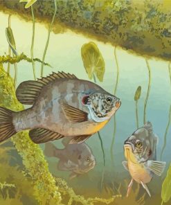 Bluegill Fish Underwater paint by number