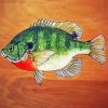 Bluegill Fish paint by number