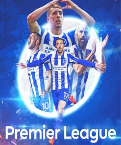 Brighton And Hove Albion Premier League Paint by number