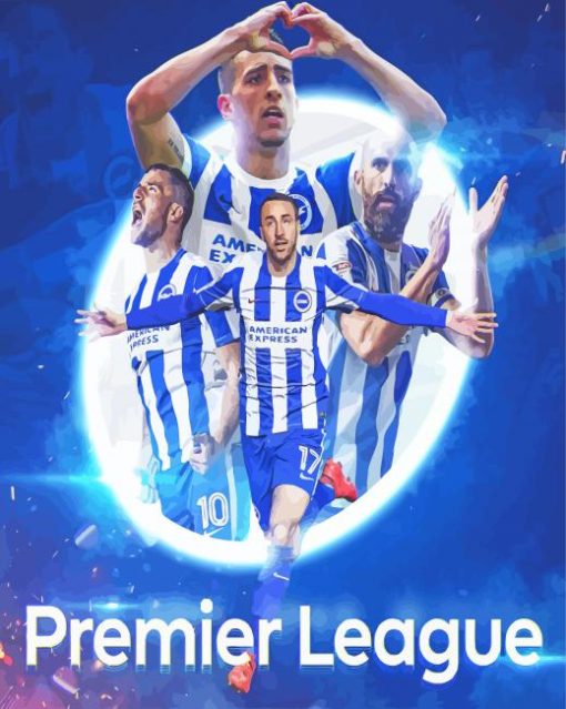 Brighton And Hove Albion Premier League Paint by number