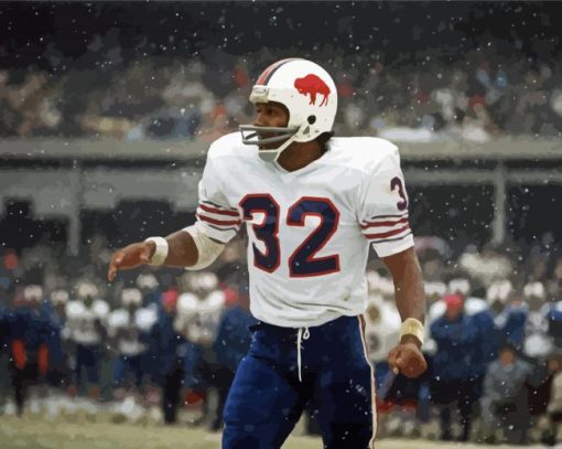 Buffalo Bills OJ Simpson Player paint by number