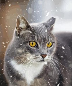 Cat And Snow paint by number