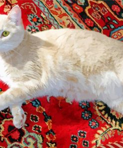 Cat With Oriental Rug Paint by number
