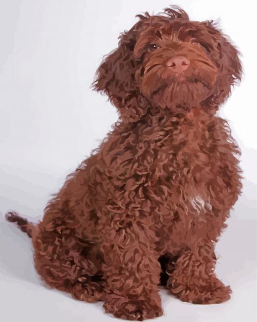 Chocolate Cockapoo Dog paint by number