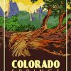 Colorado Springs Poster paint by number